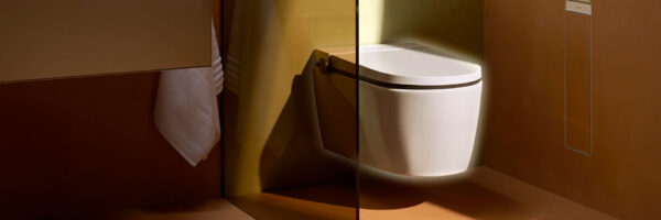udsnit af et badeværelse, hvor en solstråle ramme et douchetoilet, der ligner et almindeligt toilet: hansgrohe Lavapura element